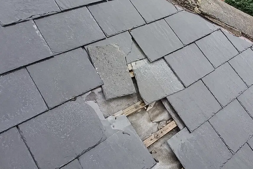 Roof Repairs & Leak Detection